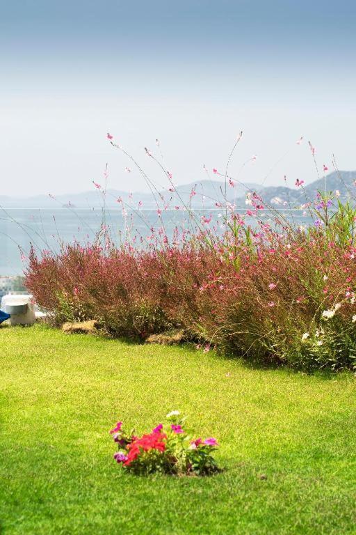 Bodrum Horizon Villas Eksteriør billede